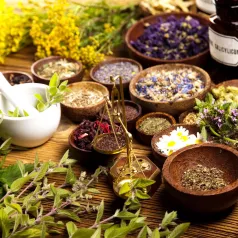 Kit semences : Mon jardin médicinal Kit semences : Mon jardin médicinal