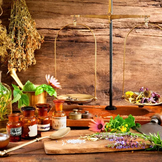 Kit semences : Mon jardin médicinal