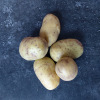 Aardappel Goldmarie - 1KG