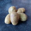 Aardappel Goldmarie - 5KG