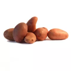 Pomme de terre Jeannette - 1kg Pomme de terre Jeannette - 1kg