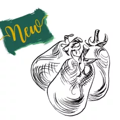 Tomaat kipraku Tomaat kipraku