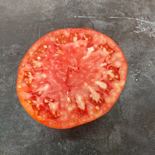 Tomate Grosse de Dordogne