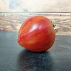 Tomate bigarée Cœur Rose strié de Pessac Tomate bigarée Cœur Rose strié de Pessac