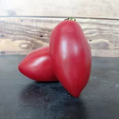 Tomaat roos van Espelette Tomaat roos van Espelette