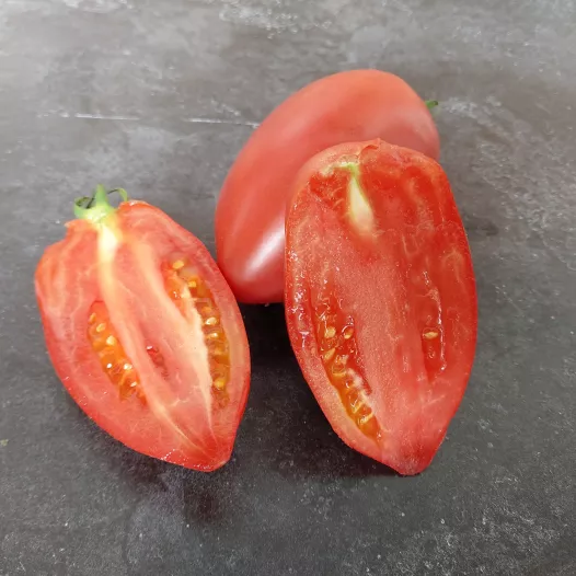 Tomate rose d'Espelette