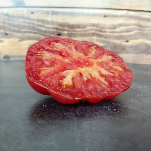 Tomate rouge Gloire de Wilrijk - Semailles