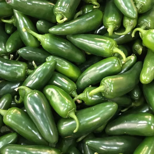 Piment Jalapeño Piment Jalapeño