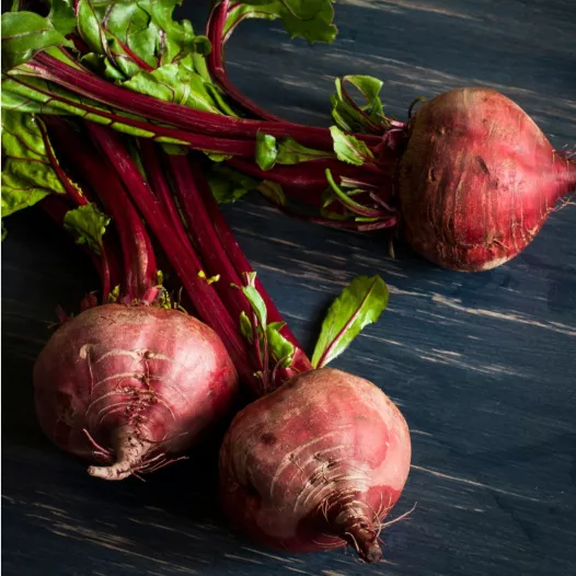 Betterave rouge Robuschka bio - Semailles