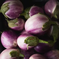 Aubergine Rotonda bianca sfumata di rosa Aubergine Rotonda bianca sfumata di rosa