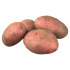 Aardappel Cherie - 1kg