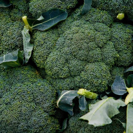 Chou Brocoli Rasmus Chou Brocoli Rasmus