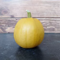 Courge Melonnette Jaspée de Vendée Courge Melonnette Jaspée de Vendée