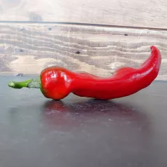 Paprika Corno di toro rood Paprika Corno di toro rood