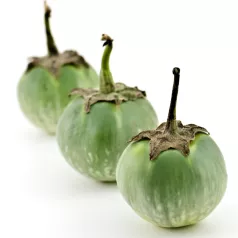 Aubergine groen rond Thaï Aubergine groen rond Thaï