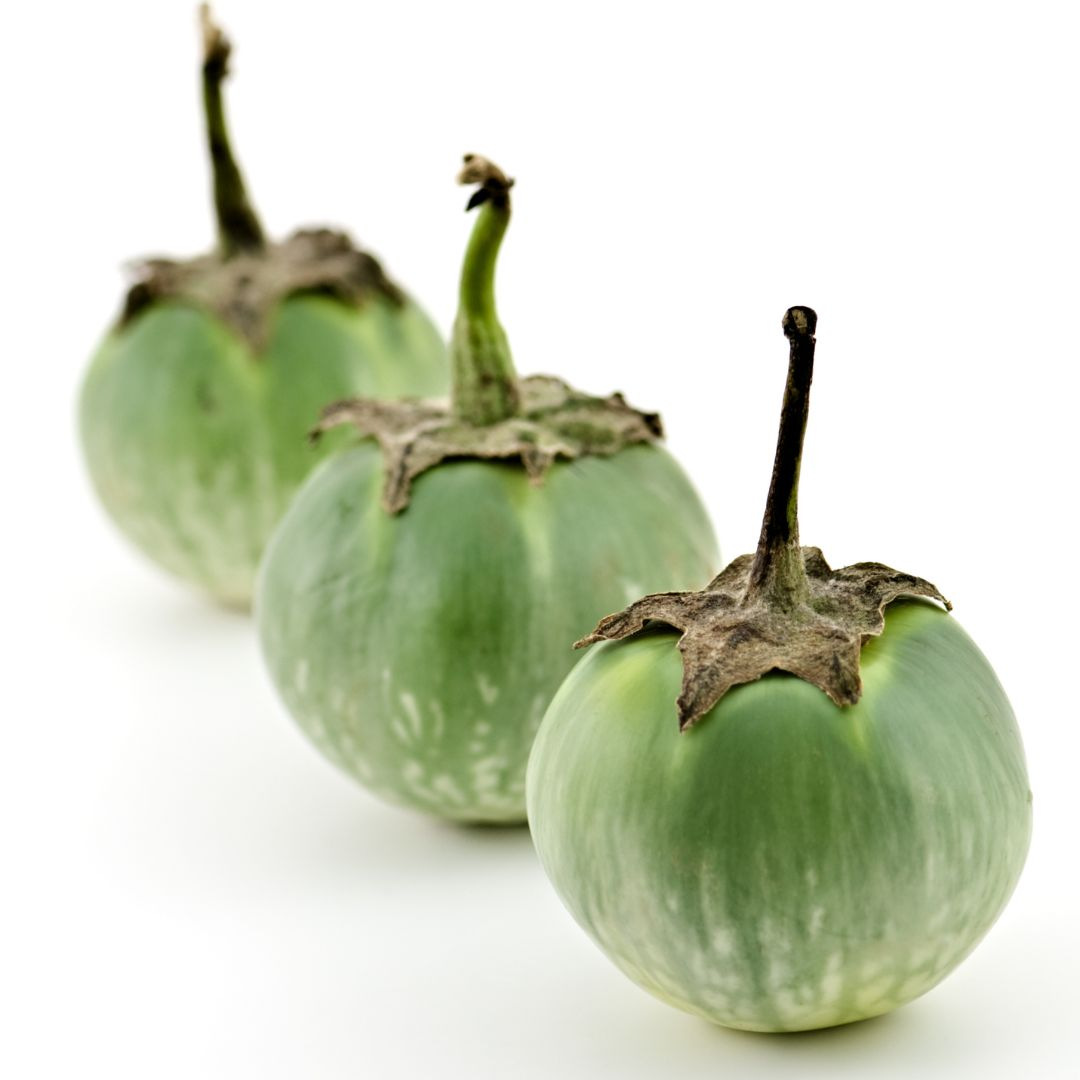 Aubergine Verte à Lintérieur