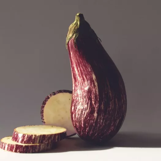 Aubergine Listada de Gianda - 24 Plants