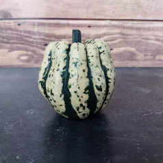 Courge sweet dumpling - 1 plant