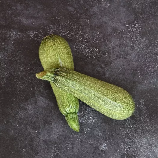 Courgette Petite Grise d'Alger - Plant