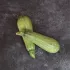 Courgette Petite Grise d'Alger - Plant