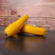 Courgette jaune