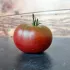 Tomate Noire de Crimée - 24 Plants