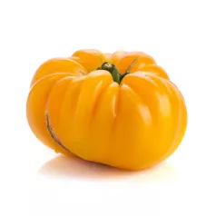Tomate Pamplemousse du Grand Père - Semailles Tomate Pamplemousse du Grand Père - Semailles