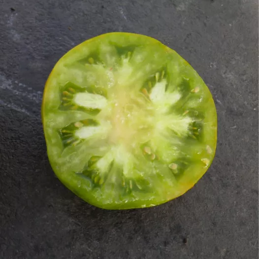 Tomate verte de Huy bio - Semailles