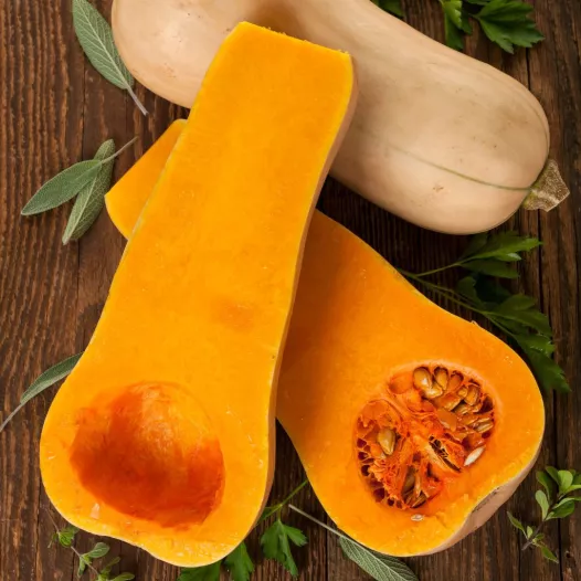 Courge musquée Butternut - 24 Plants