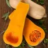 Courge musquée Butternut - 24 Plants