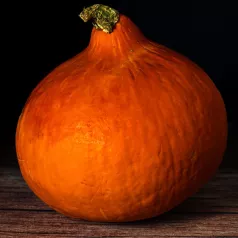 Pompoen Red Kuri Pompoen Red Kuri