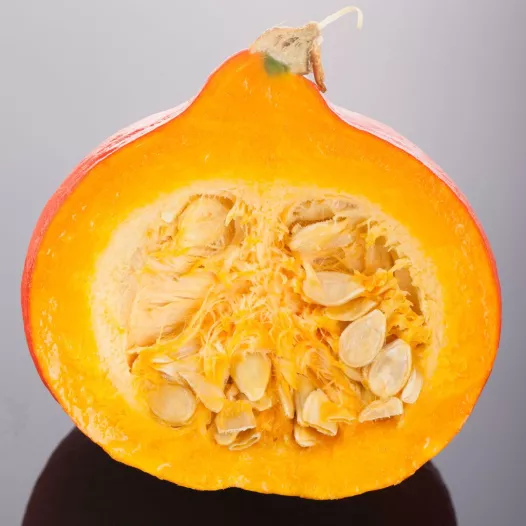 Pompoen Red Kuri Pompoen Red Kuri