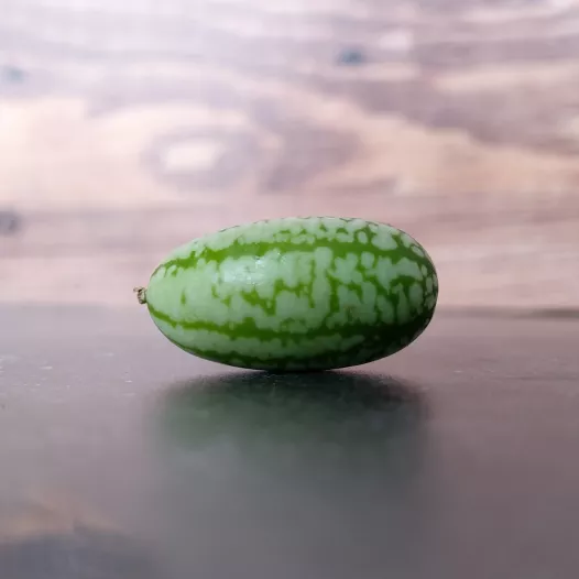 Muismeloen Muismeloen