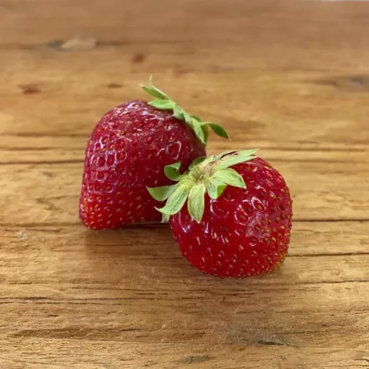 Fraisier Charlotte - 12 plants - calibre A