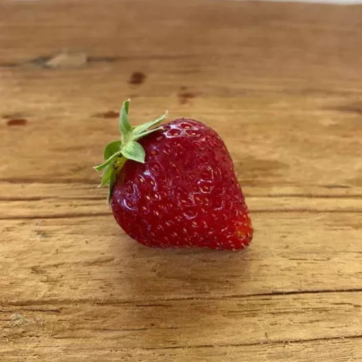 Aardbeipoot Charlotte - 12 poten - Kaliber A