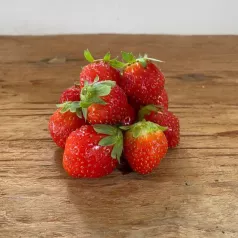 Fraisier Mara des Bois - 25 plants - calibre B Fraisier Mara des Bois - 25 plants - calibre B