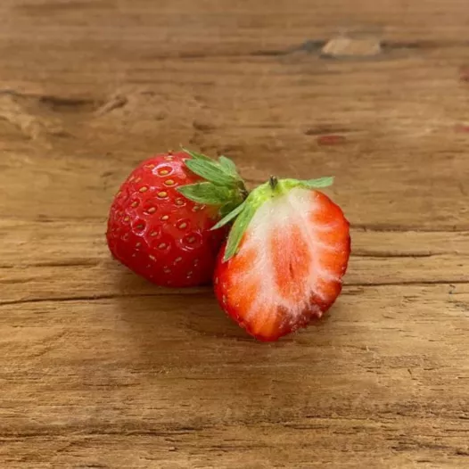 Fraisier Mara des Bois - 25 plants - calibre B Fraisier Mara des Bois - 25 plants - calibre B