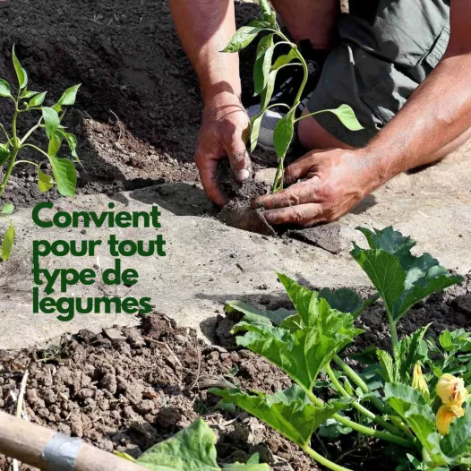 Rouleau de paillage en chanvre pour potager 5m x 0.54m Rouleau de paillage en chanvre pour potager 5m x 0.54m