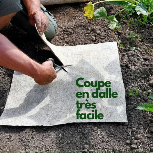 Rouleau de paillage en chanvre pour fraisiers 5m x 0.56m