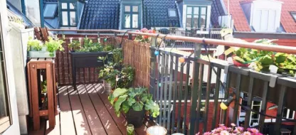 Astuces et Techniques pour un Jardin Potager en Petit Espace