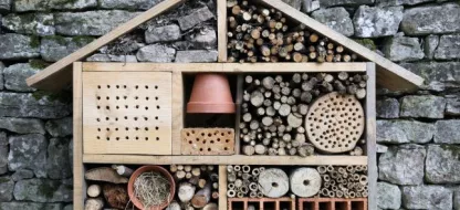 Hôtel à Insectes : quel intérêt?