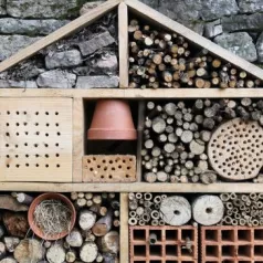 Hôtel à Insectes : quel intérêt?