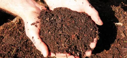 Quel engrais naturel utiliser au jardin et au potager ?