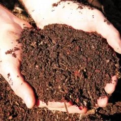 Natuurlijke meststoffen voor een gezonde en duurzame tuin