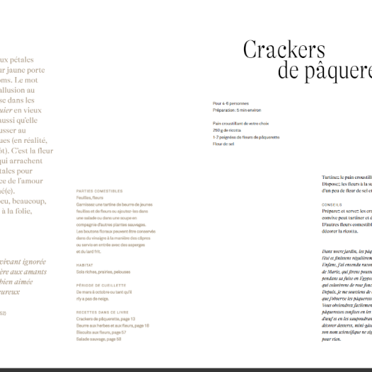 Chips de dahlias & Muffins aux coquelicots