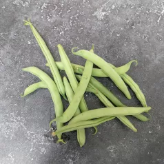 Haricot nain mangetout Prélude