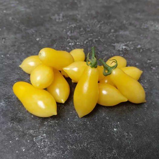 Tomate cerise Ivory Tears Tomate cerise Ivory Tears