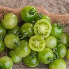 Tomaat cerise Green Doctor Frosted Tomaat cerise Green Doctor Frosted