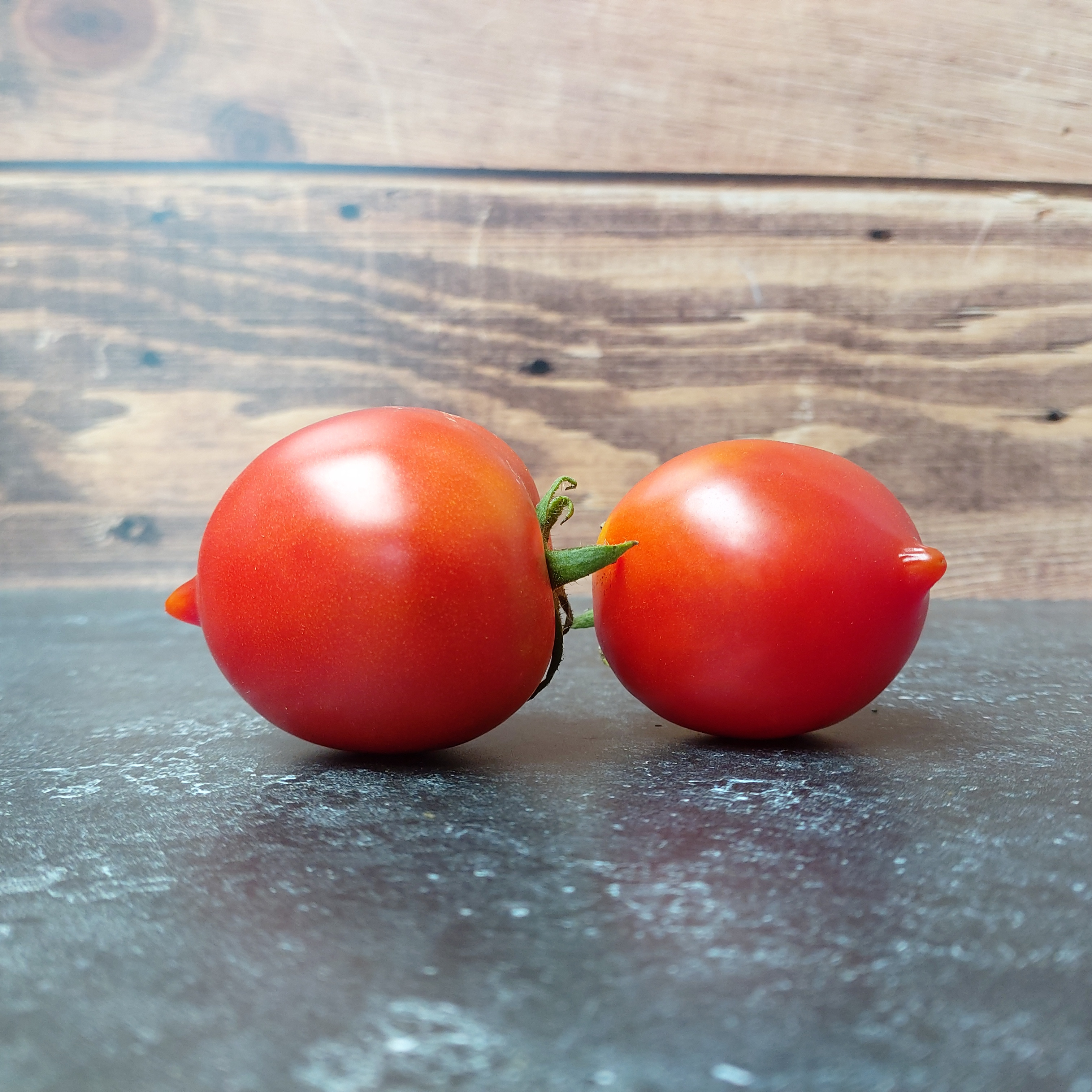 Tomaat Roem van Bastogne | biologische en reproduceerbare zaden