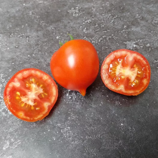 Tomate Merveille de Bastogne